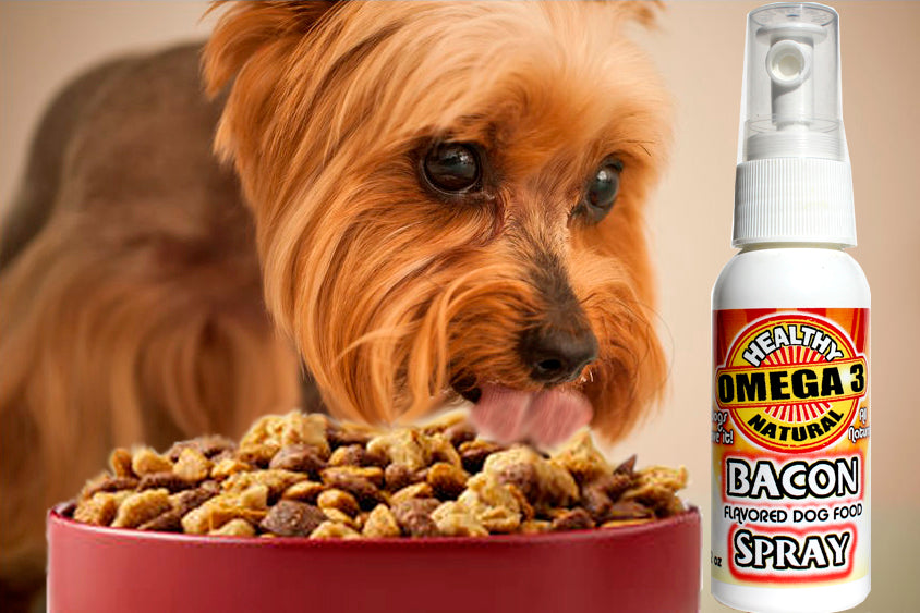Chia Seed Oil For Dogs